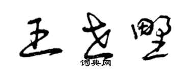 曾慶福王世野草書個性簽名怎么寫