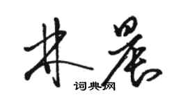 駱恆光林晨草書個性簽名怎么寫