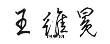 駱恆光王維冕行書個性簽名怎么寫