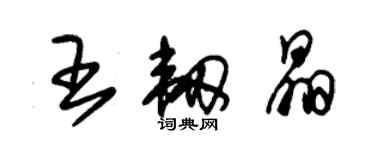 朱錫榮王韌晶草書個性簽名怎么寫