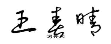 曾慶福王春晴草書個性簽名怎么寫