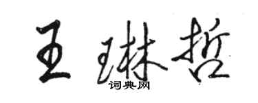 駱恆光王琳哲行書個性簽名怎么寫