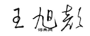 駱恆光王旭顏草書個性簽名怎么寫