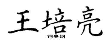 丁謙王培亮楷書個性簽名怎么寫