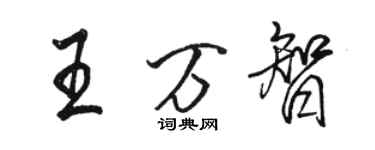 駱恆光王萬智行書個性簽名怎么寫