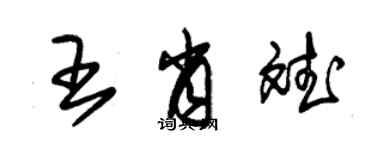 朱錫榮王肖斌草書個性簽名怎么寫