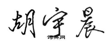 駱恆光胡宇晨行書個性簽名怎么寫