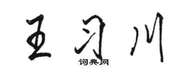 駱恆光王習川行書個性簽名怎么寫