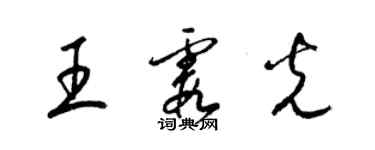 梁錦英王霞光草書個性簽名怎么寫