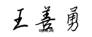 王正良王善勇行書個性簽名怎么寫