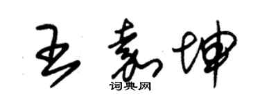 朱錫榮王嘉坤草書個性簽名怎么寫