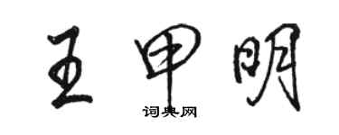 駱恆光王甲明行書個性簽名怎么寫