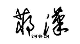 朱錫榮蔣漢草書個性簽名怎么寫