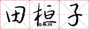 田桓子怎么寫好看