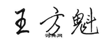 駱恆光王方魁行書個性簽名怎么寫