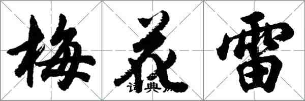 胡問遂梅花雷行書怎么寫