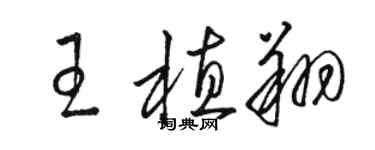 駱恆光王植翔草書個性簽名怎么寫