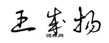 曾慶福王成揚草書個性簽名怎么寫