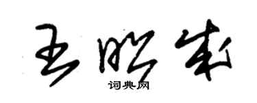 朱錫榮王昭成草書個性簽名怎么寫