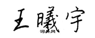 王正良王曦宇行書個性簽名怎么寫