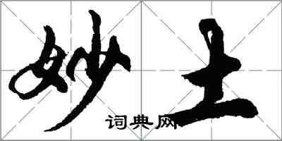 胡問遂妙土行書怎么寫