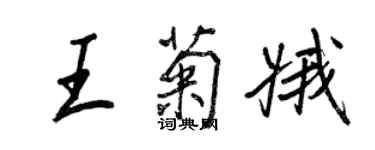 王正良王菊娥行書個性簽名怎么寫