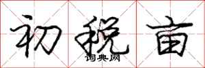 龐中華初稅畝行書怎么寫
