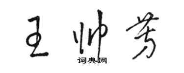 駱恆光王帥芳草書個性簽名怎么寫