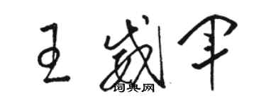 駱恆光王威軍草書個性簽名怎么寫