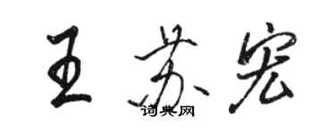 駱恆光王蘇宏行書個性簽名怎么寫