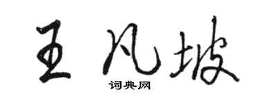 駱恆光王凡坡行書個性簽名怎么寫