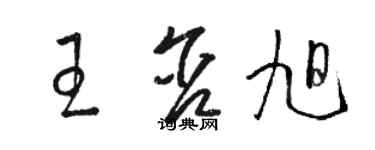 駱恆光王含旭草書個性簽名怎么寫