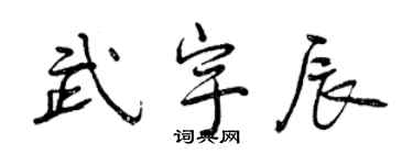 曾慶福武宇辰行書個性簽名怎么寫