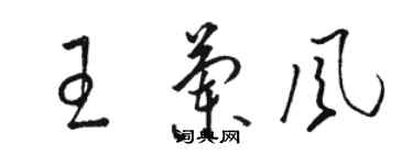 駱恆光王蘭風草書個性簽名怎么寫