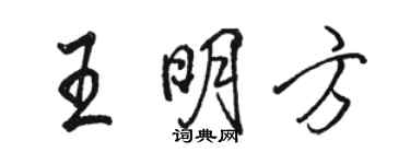 駱恆光王明方行書個性簽名怎么寫