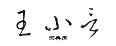 駱恆光王小言草書個性簽名怎么寫