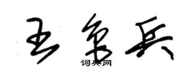 朱錫榮王魯兵草書個性簽名怎么寫