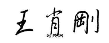 王正良王肖剛行書個性簽名怎么寫