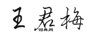 駱恆光王君梅行書個性簽名怎么寫