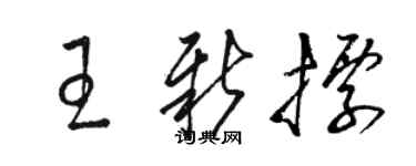 駱恆光王新標草書個性簽名怎么寫