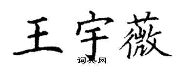 丁謙王宇薇楷書個性簽名怎么寫