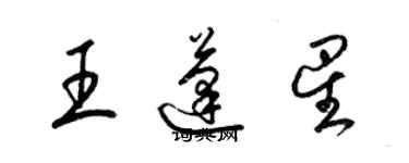 梁錦英王蓬星草書個性簽名怎么寫