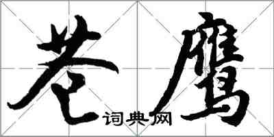 胡問遂蒼鷹行書怎么寫