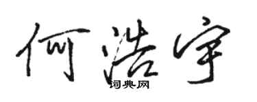 駱恆光何浩宇行書個性簽名怎么寫