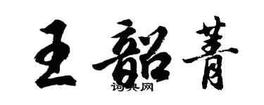 胡問遂王韶菁行書個性簽名怎么寫
