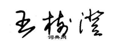 朱錫榮王樹澄草書個性簽名怎么寫