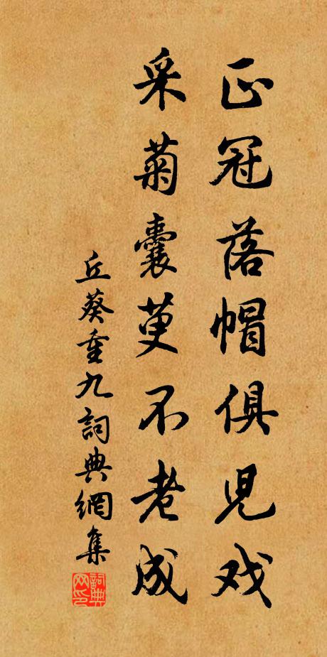 君壯我垂老,別日嗟激矢 詩詞名句