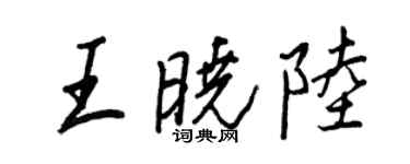 王正良王曉陸行書個性簽名怎么寫