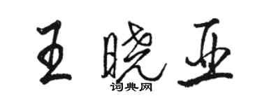 駱恆光王曉亞行書個性簽名怎么寫