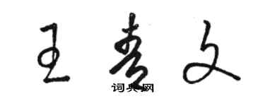 駱恆光王青文草書個性簽名怎么寫